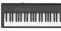 Roland FP-30X Schwarz Top Overview