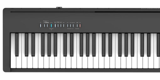 Roland FP-30X Schwarz Top Overview