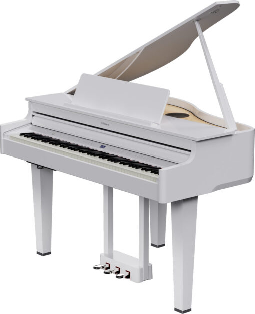ROLAND GP-6 PW
