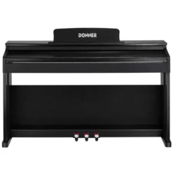 DONNER DDP-100
